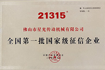 21315全国�W�一批国家��征信企业